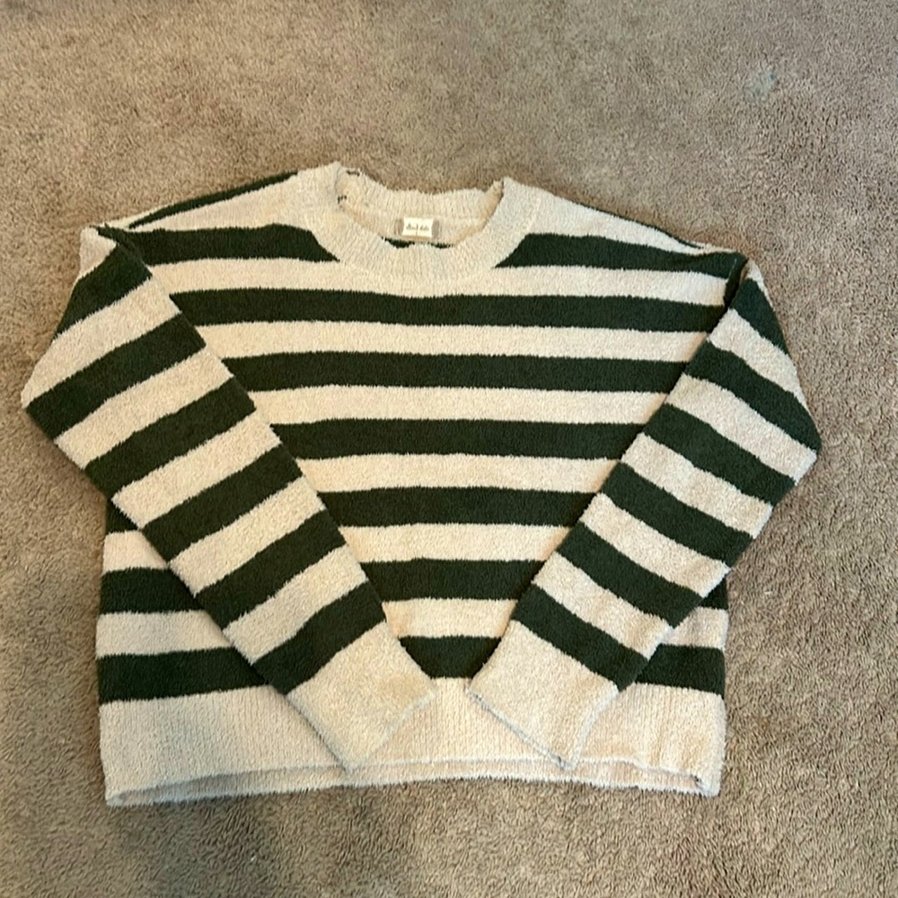 Alter’d State soft forest green and tan sweater